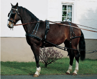 POSTROJ POPRSNÍ JEDNOSPŘEŽÍ EXCLUSIVE SHETTY, PONY